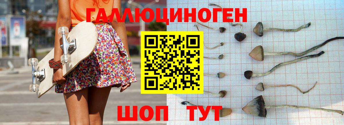 Отрадное  закладки  Псилоцибиновые грибы MAGIC MUSHROOMS  Вход с VPN  Псилоцибиновые грибы ЛСД 